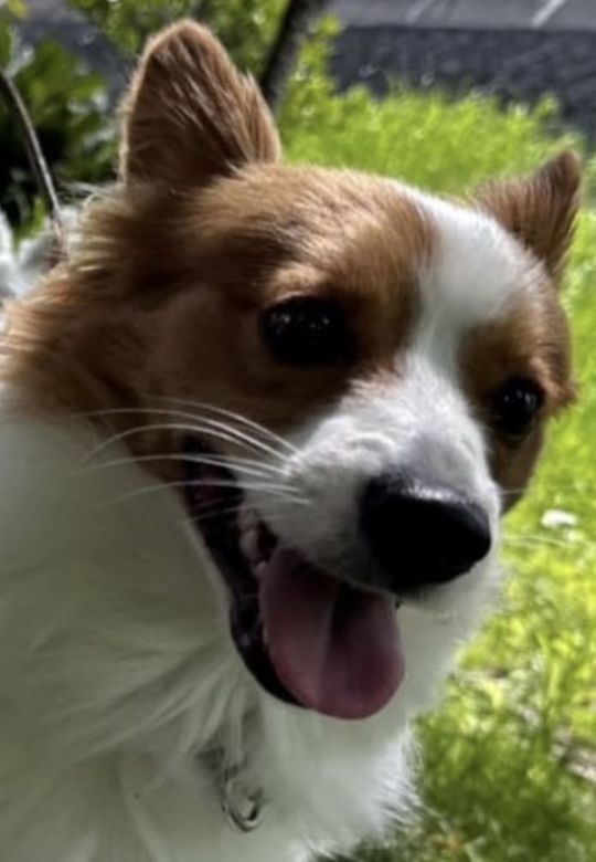 12 大阪 ヨガ 13期基礎理論感想  J・Y  様