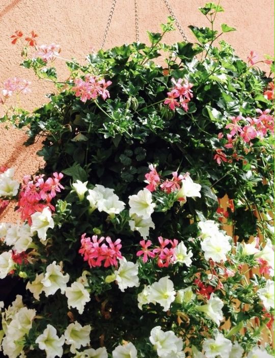 10 大阪 ヨガ 13期基礎理論感想 K・N 様　